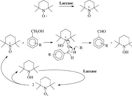 納米甲殼素材料的制備及應用研究進展綜述——以鄭州大學鄭學晶教授研究為例